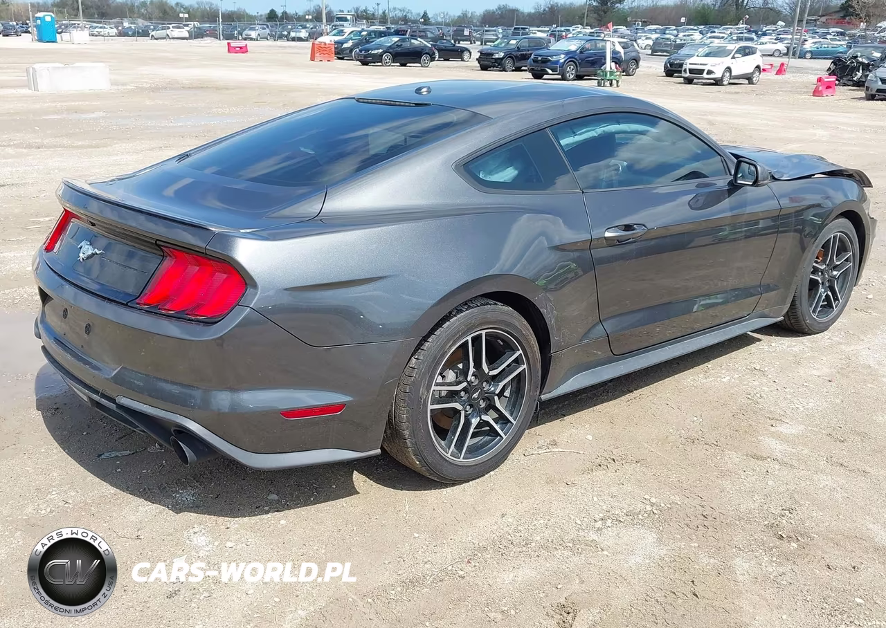 2019 Ford Mustang Ecoboost Premium VIN:1FA6P8TH7K5132948 - 4