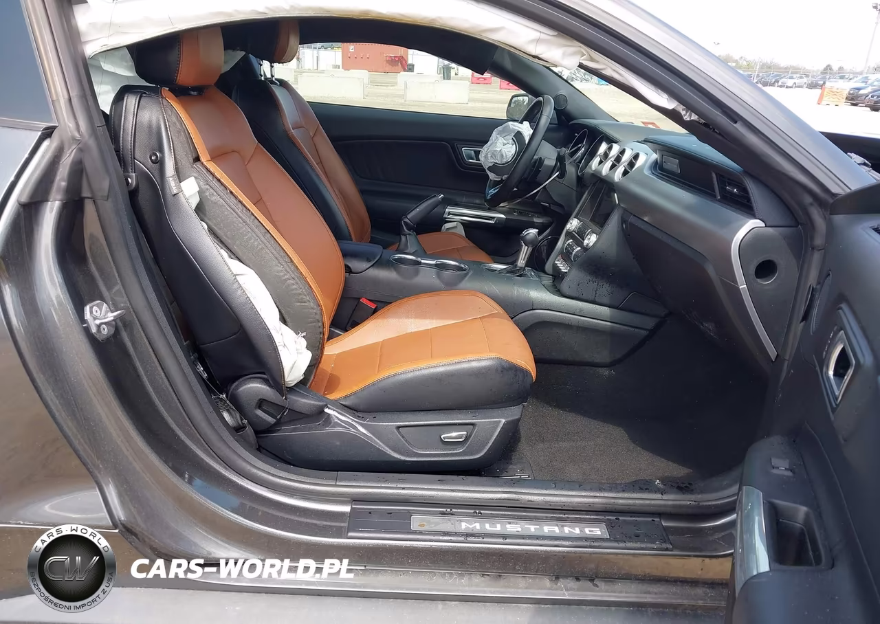 2019 Ford Mustang Ecoboost Premium VIN:1FA6P8TH7K5132948 - 5