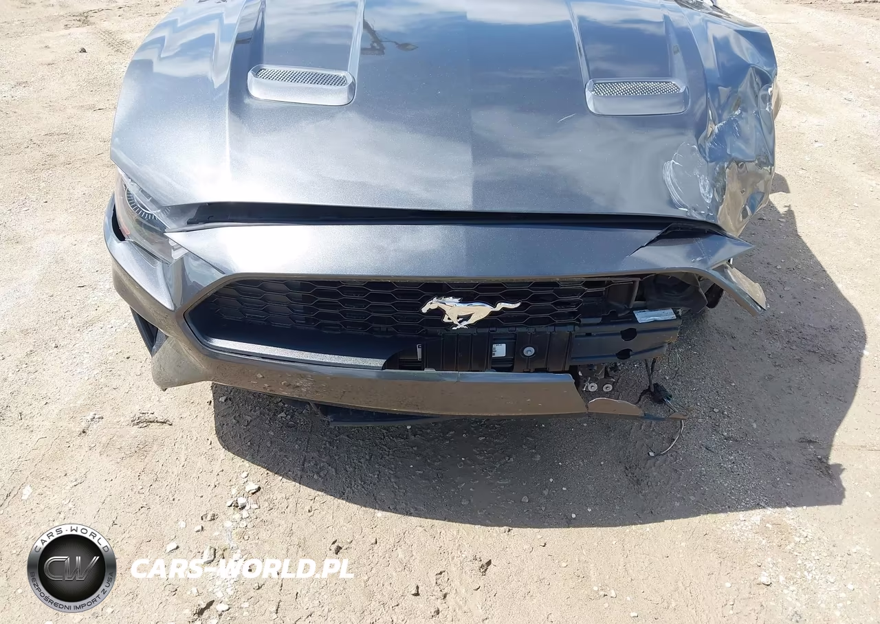 2019 Ford Mustang Ecoboost Premium VIN:1FA6P8TH7K5132948 - 6