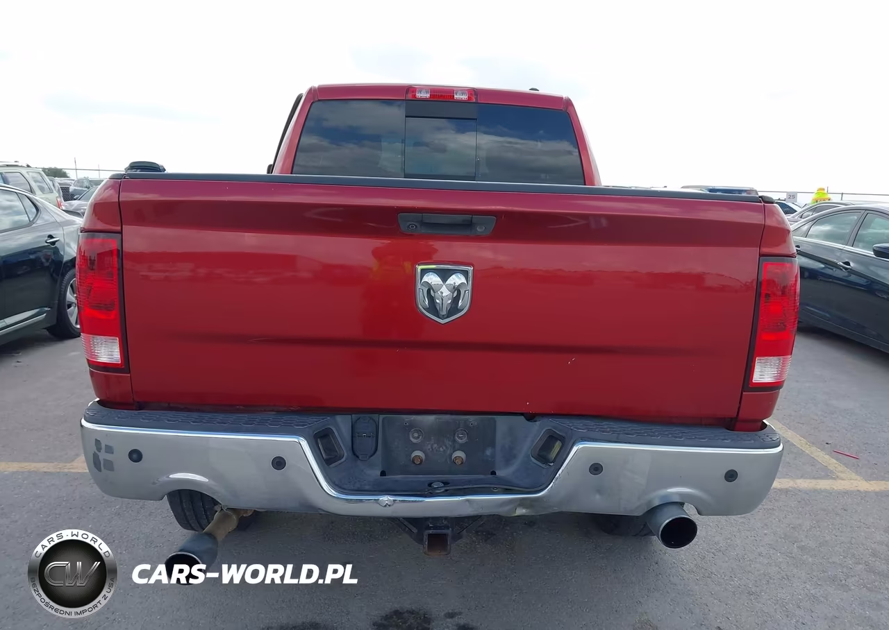 2010 Dodge Ram 1500 Slt-Sport-Trx VIN:1D7RB1GT1AS248955 - 16