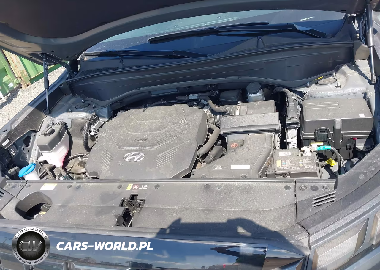 2024 Hyundai Palisade Sel VIN:KM8R2DGE2RU741567 - 10