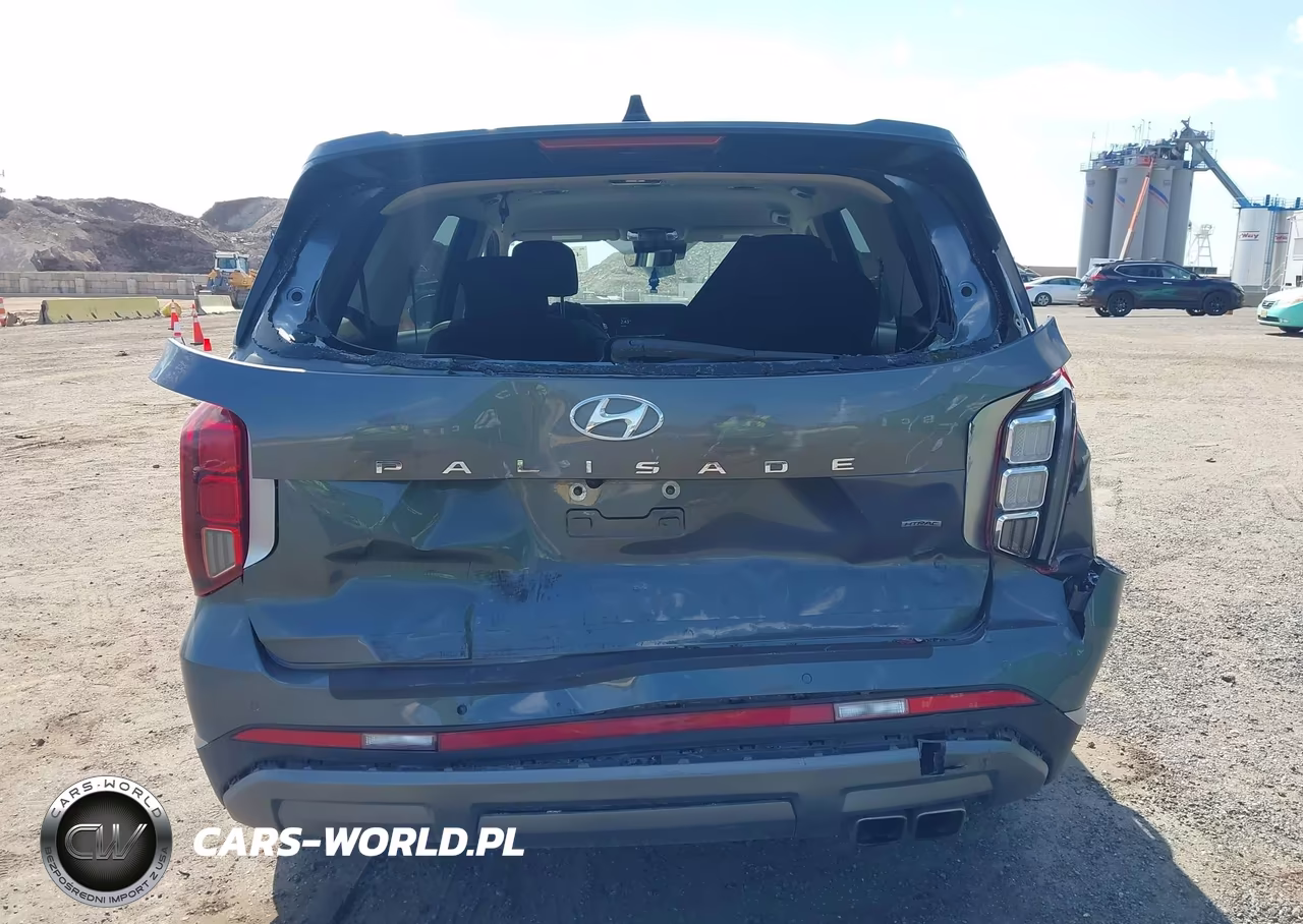 2024 Hyundai Palisade Sel VIN:KM8R2DGE2RU741567 - 16