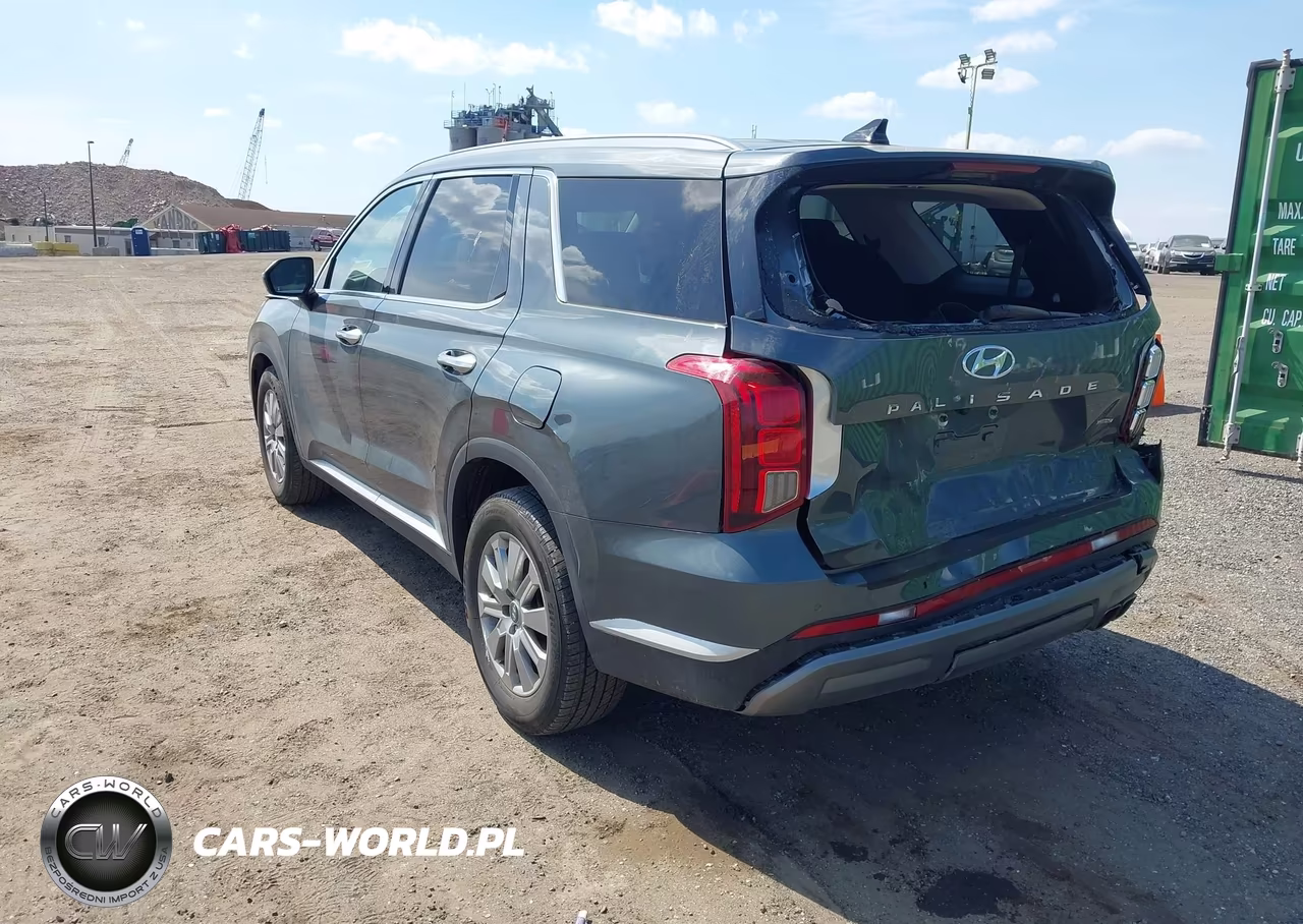 2024 Hyundai Palisade Sel VIN:KM8R2DGE2RU741567 - 3