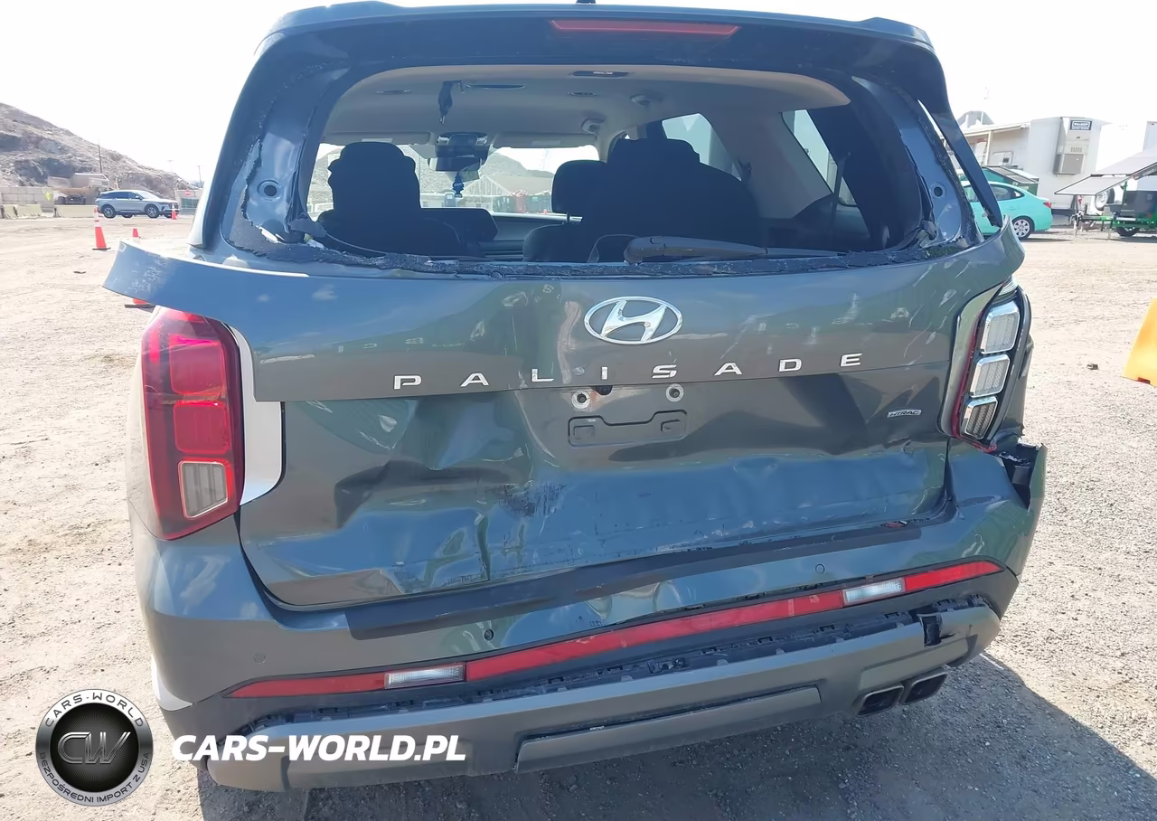 2024 Hyundai Palisade Sel VIN:KM8R2DGE2RU741567 - 6