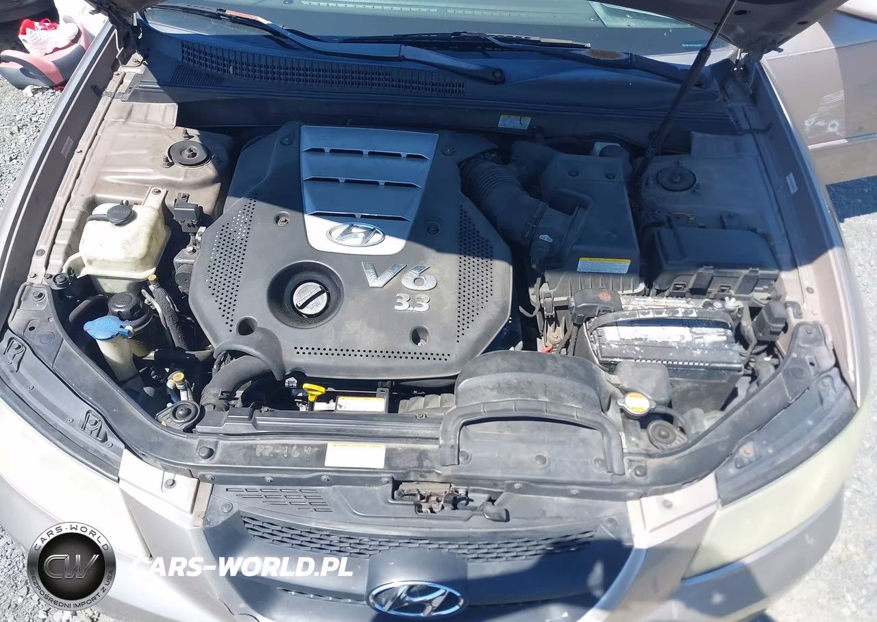 2007 Hyundai Sonata Limited-Se V6 VIN:5NPEU46F07H243656 - 10