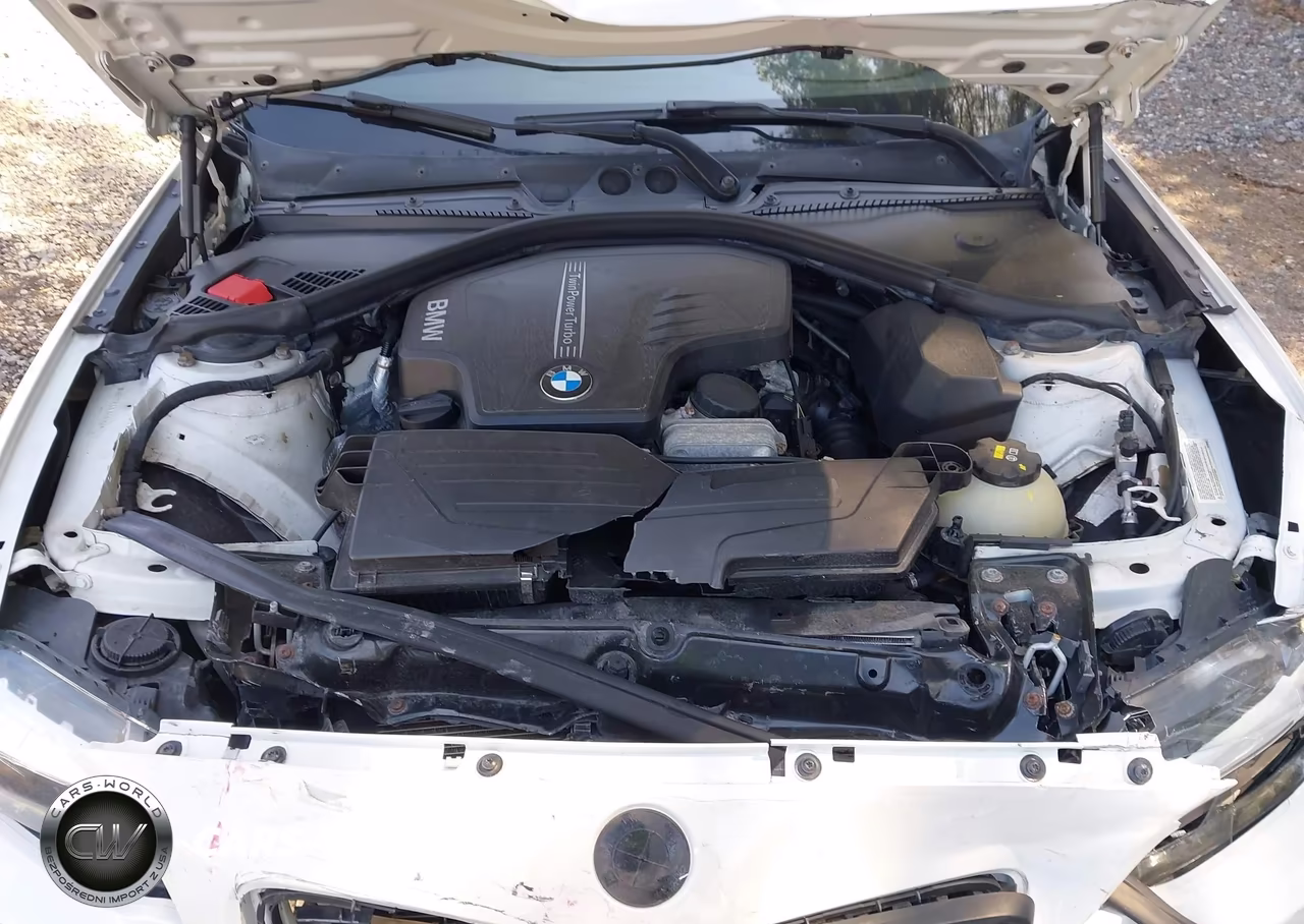 2015 BMW 228I xDrive VIN:WBA1F7C5XFVX95540 - 10