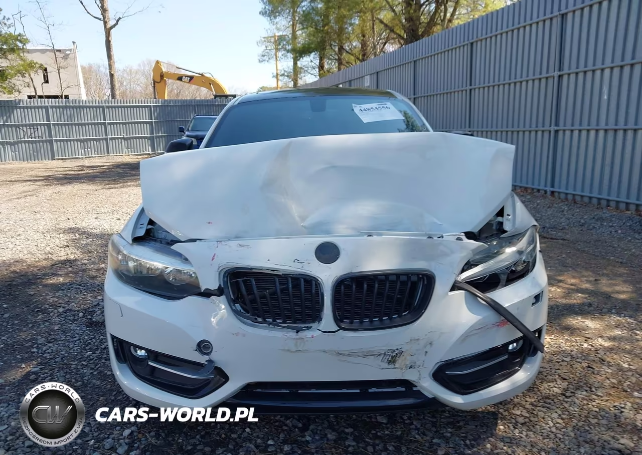 2015 BMW 228I xDrive VIN:WBA1F7C5XFVX95540 - 12