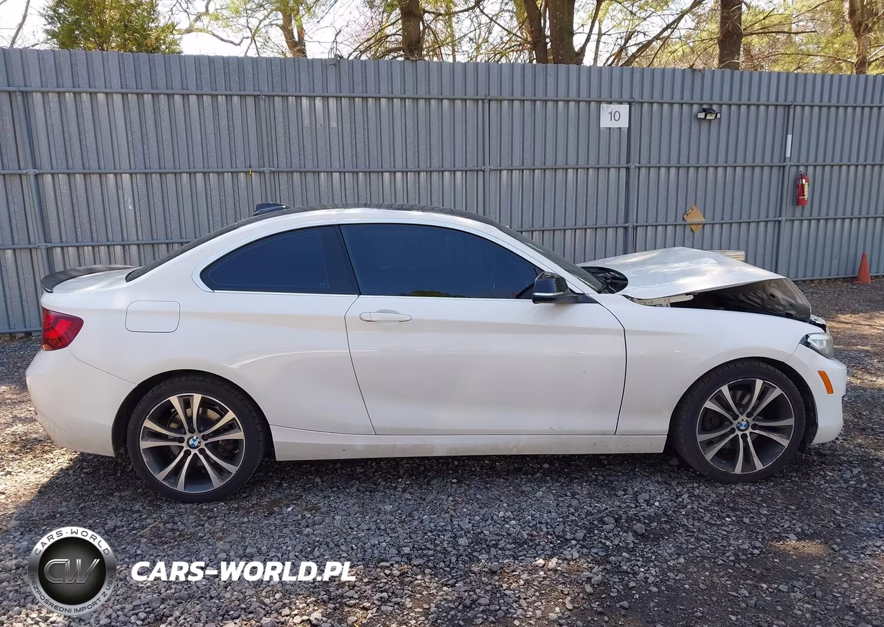 2015 BMW 228I xDrive VIN:WBA1F7C5XFVX95540 - 13