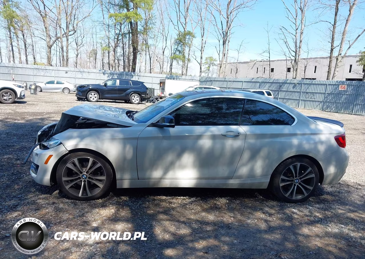 2015 BMW 228I xDrive VIN:WBA1F7C5XFVX95540 - 14