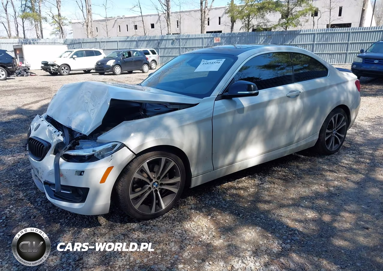2015 BMW 228I xDrive VIN:WBA1F7C5XFVX95540 - 2