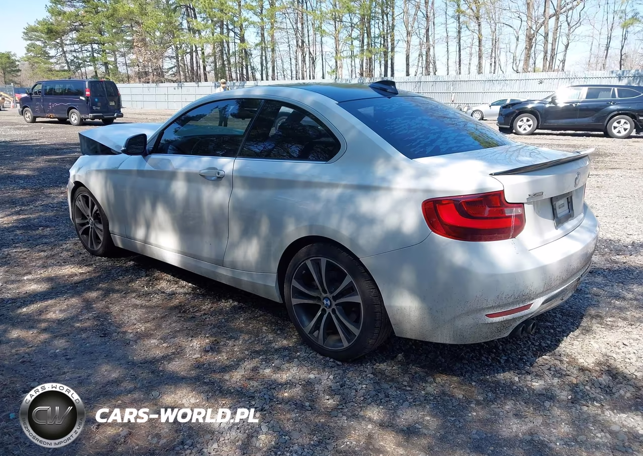 2015 BMW 228I xDrive VIN:WBA1F7C5XFVX95540 - 3