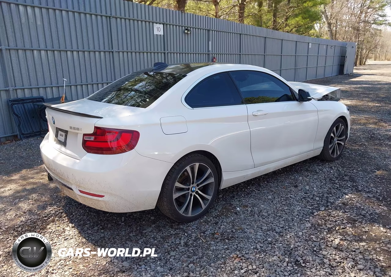 2015 BMW 228I xDrive VIN:WBA1F7C5XFVX95540 - 4