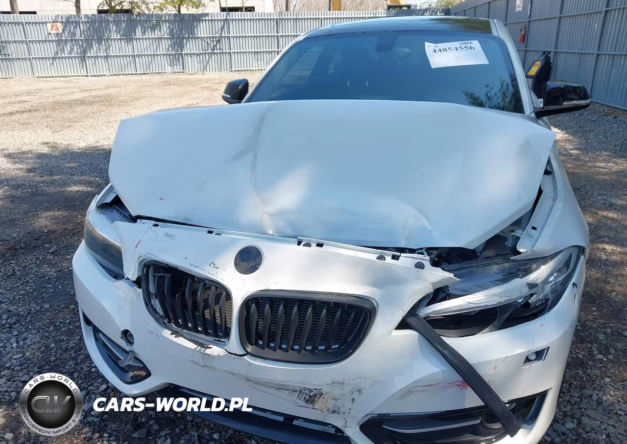 2015 BMW 228I xDrive VIN:WBA1F7C5XFVX95540 - 6