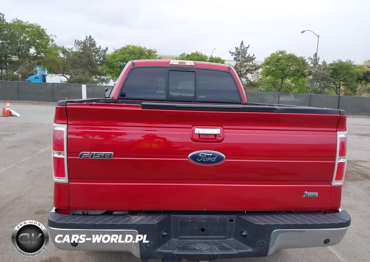 2010 Ford F-150 Fx4-Harley-Davidson-King Ranch-Lariat-Platinum-Xl-Xlt VIN:1FTFW1EV8AFA87907 - 16