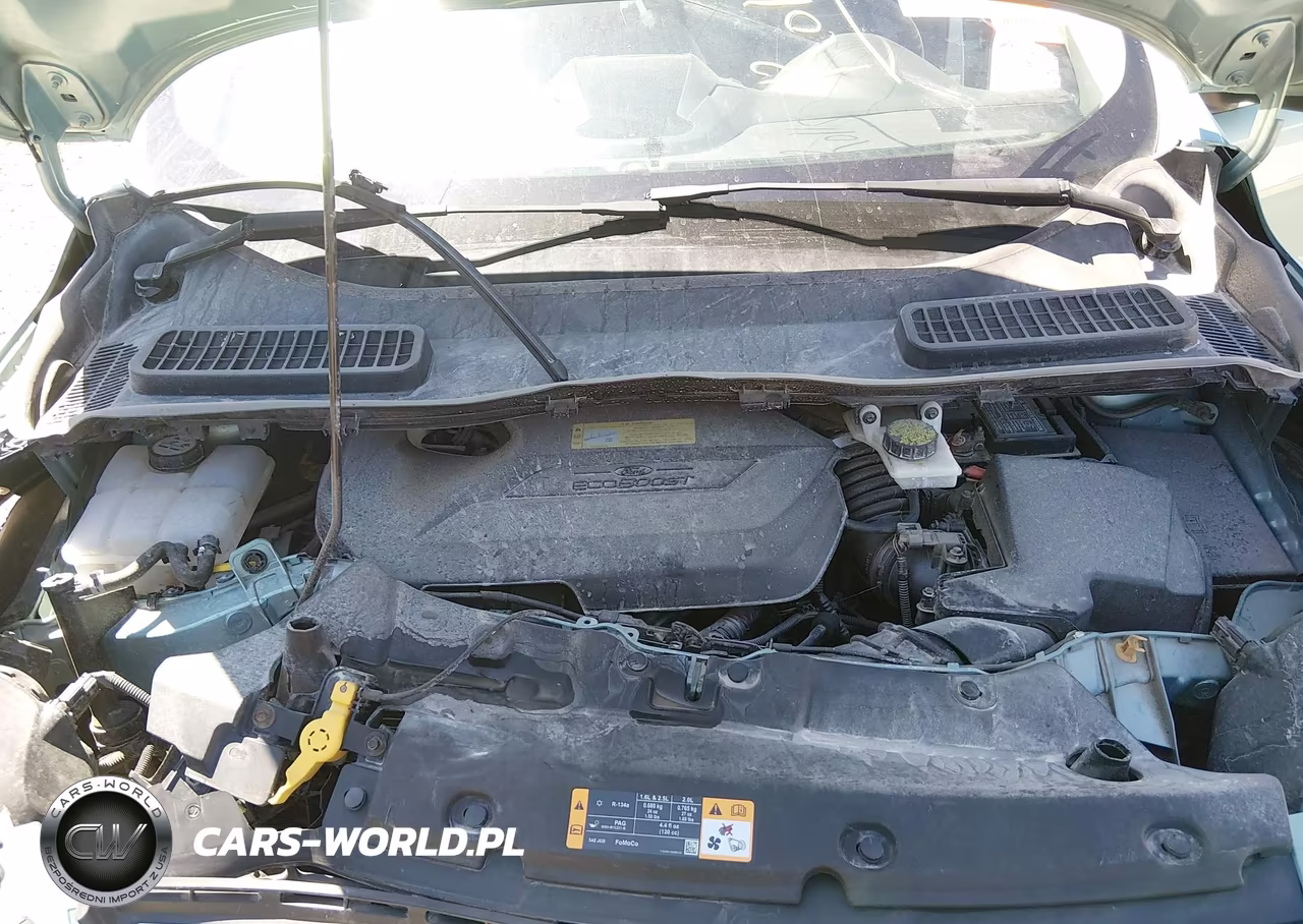 2013 Ford Escape Se VIN:1FMCU0GX3DUB79844 - 10