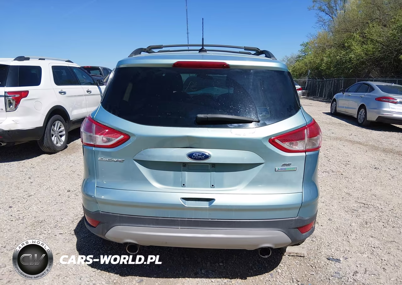 2013 Ford Escape Se VIN:1FMCU0GX3DUB79844 - 17