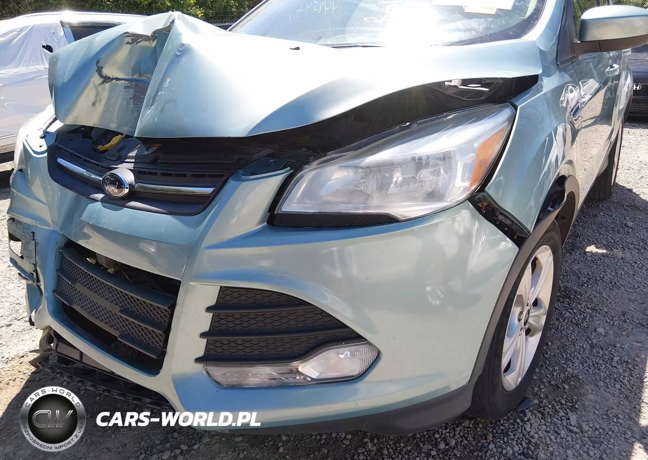 2013 Ford Escape Se VIN:1FMCU0GX3DUB79844 - 18