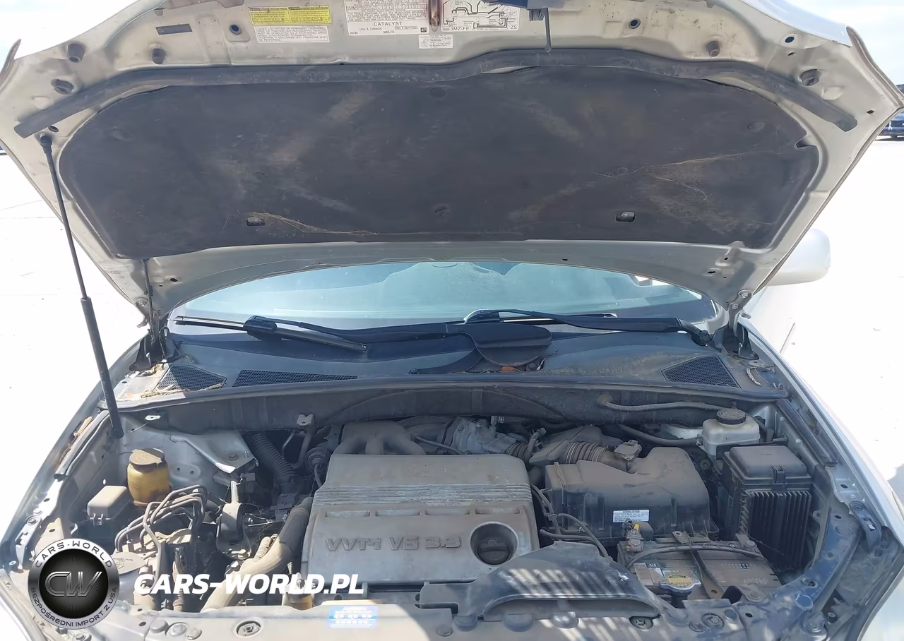 2006 Lexus Rx 330 VIN:2T2HA31U36C108643 - 10