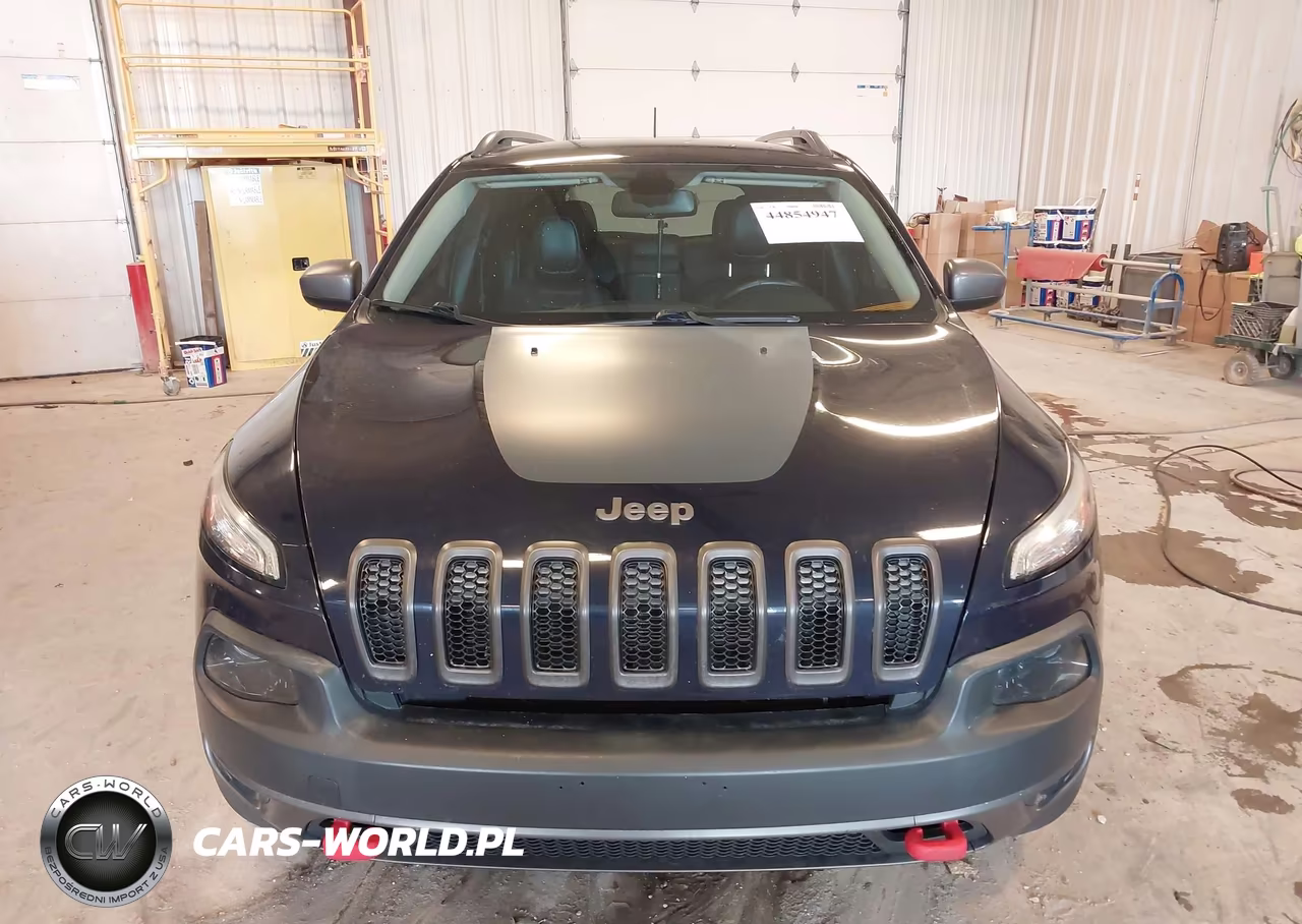 2016 Jeep Cherokee Trailhawk VIN:1C4PJMBS9GW134353 - 12