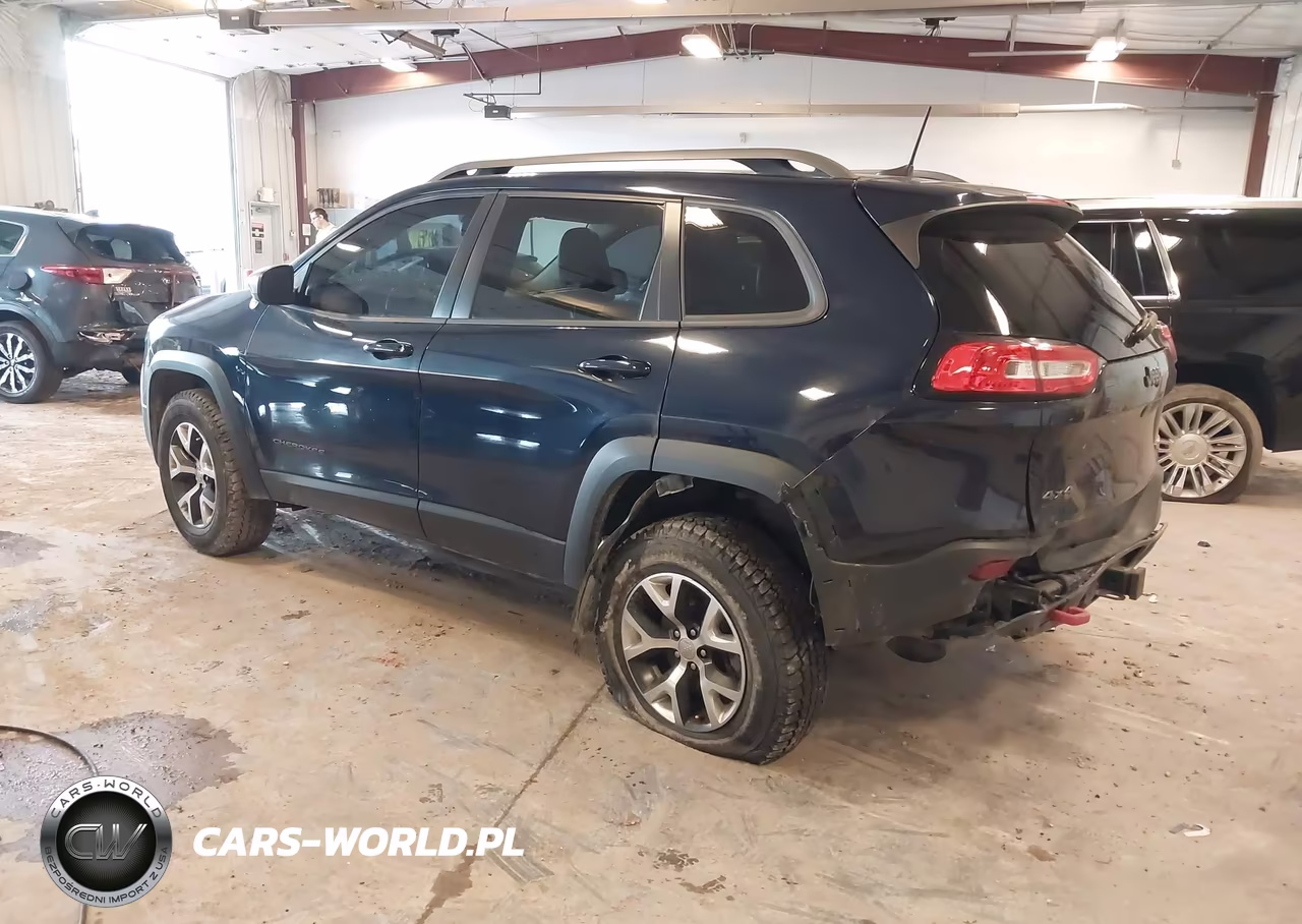 2016 Jeep Cherokee Trailhawk VIN:1C4PJMBS9GW134353 - 3