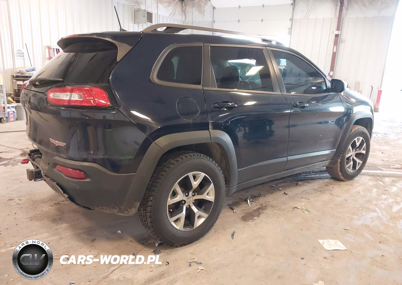2016 Jeep Cherokee Trailhawk VIN:1C4PJMBS9GW134353 - 4