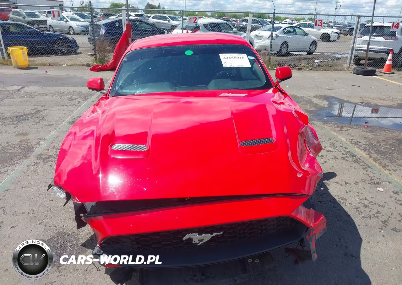 2020 Ford Mustang Ecoboost Fastback VIN:1FA6P8TH0L5176758 - 13