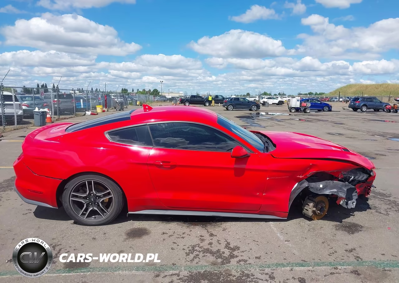 2020 Ford Mustang Ecoboost Fastback VIN:1FA6P8TH0L5176758 - 14