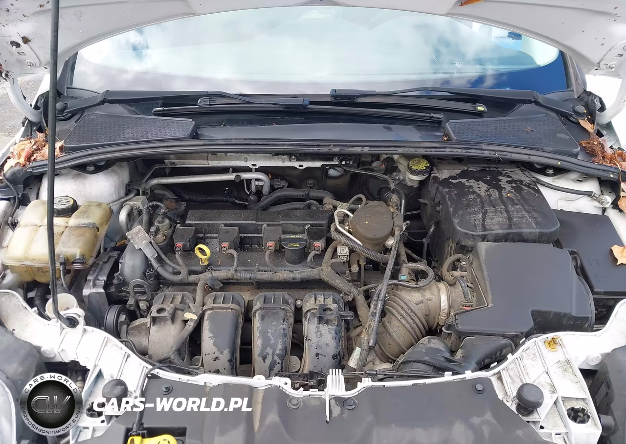 2013 Ford Focus Se VIN:1FADP3F20DL212656 - 10