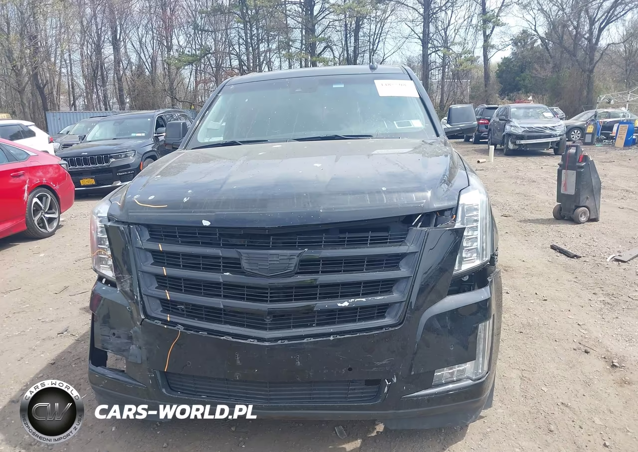 2016 Cadillac Escalade Esv Luxury Collection VIN:1GYS4HKJXGR210249 - 12