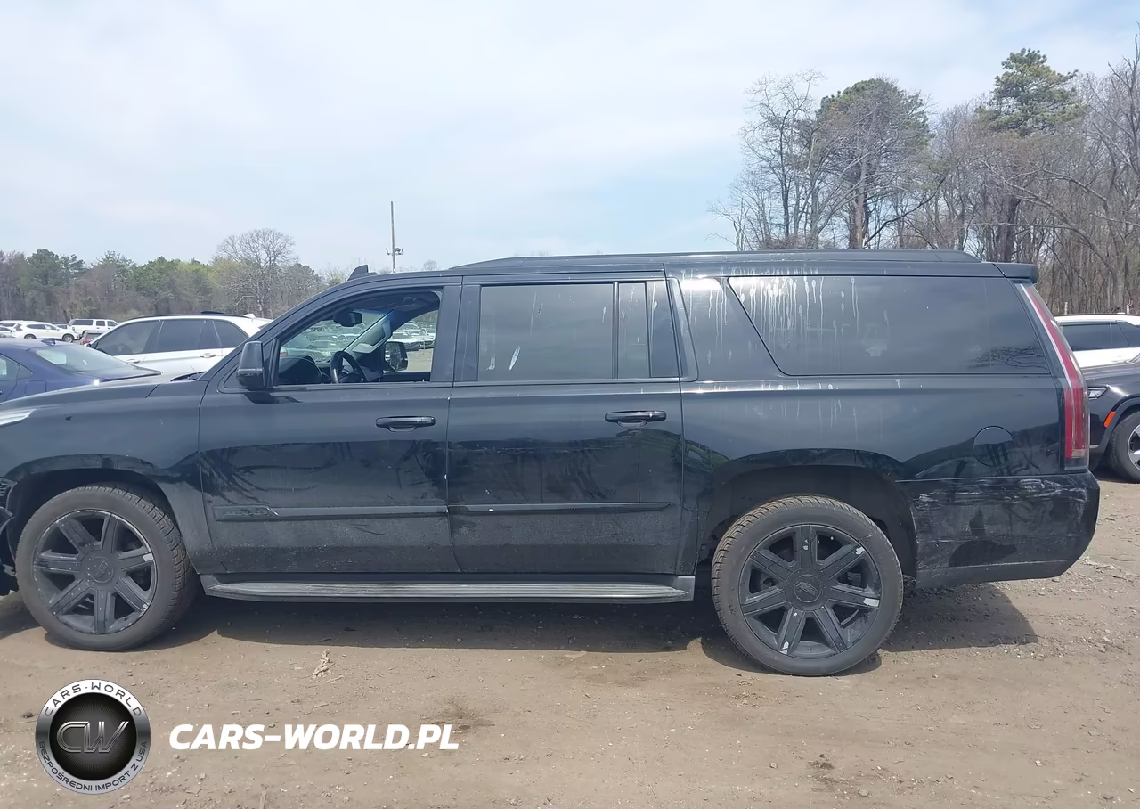 2016 Cadillac Escalade Esv Luxury Collection VIN:1GYS4HKJXGR210249 - 14