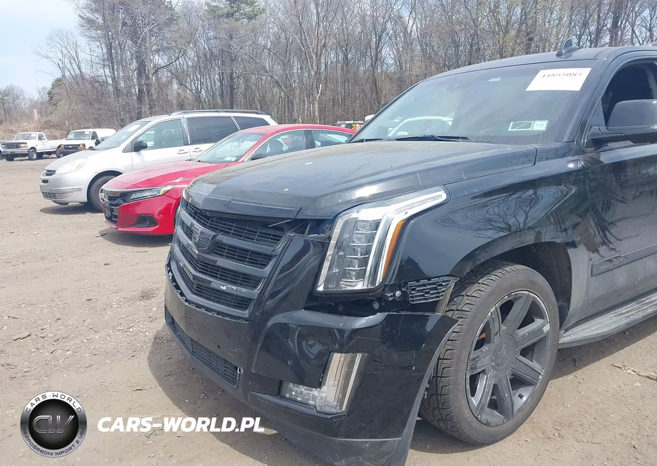 2016 Cadillac Escalade Esv Luxury Collection VIN:1GYS4HKJXGR210249 - 6