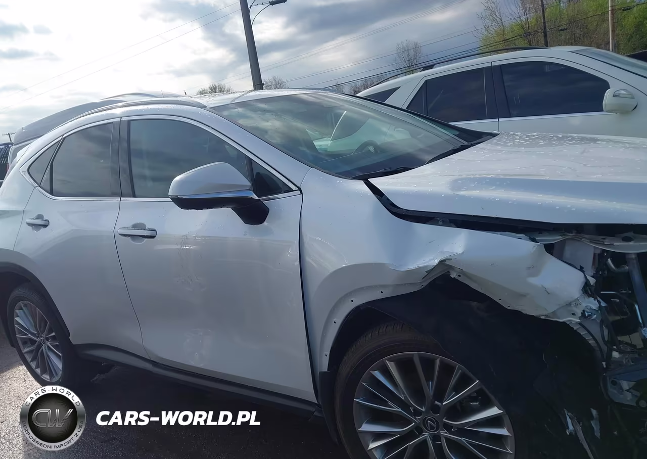 2025 Lexus Nx 350 Premium VIN:2T2GGCEZ6SC087328 - 14
