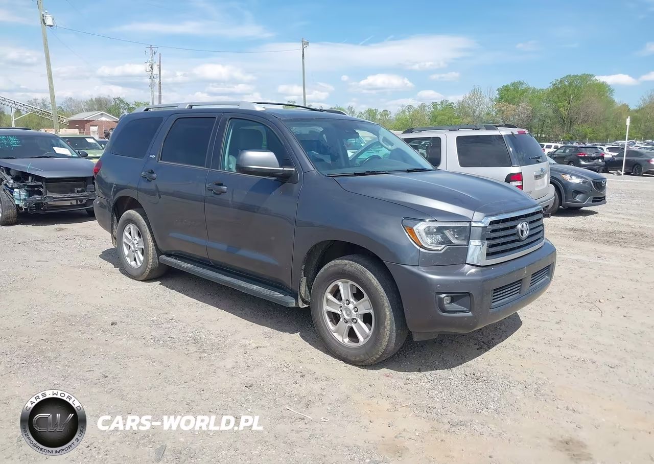 2019 Toyota Sequoia Sr5