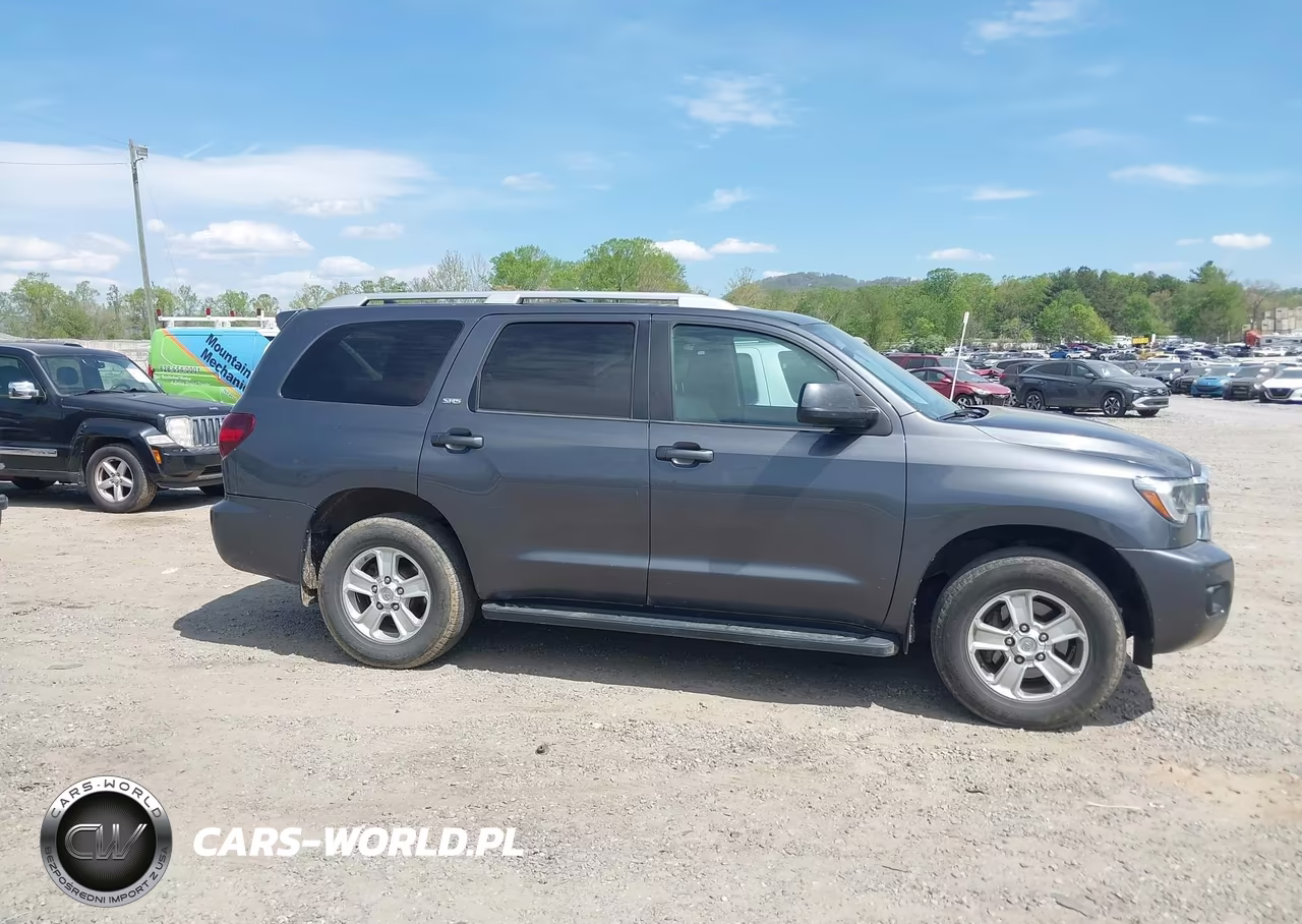 2019 Toyota Sequoia Sr5 VIN:5TDBY5G18KS169079 - 13