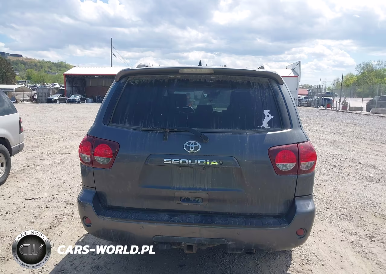 2019 Toyota Sequoia Sr5 VIN:5TDBY5G18KS169079 - 16