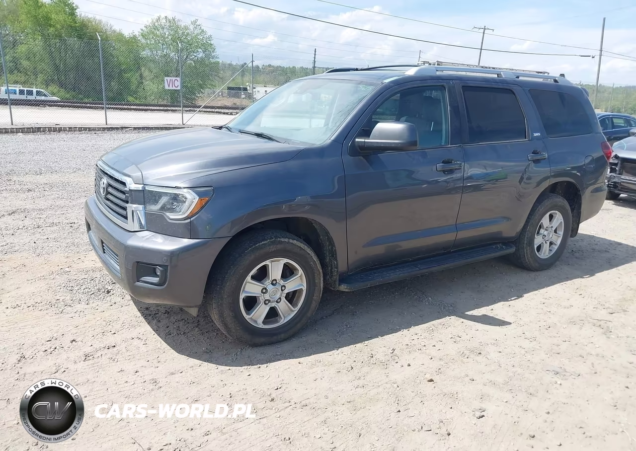 2019 Toyota Sequoia Sr5 VIN:5TDBY5G18KS169079 - 2