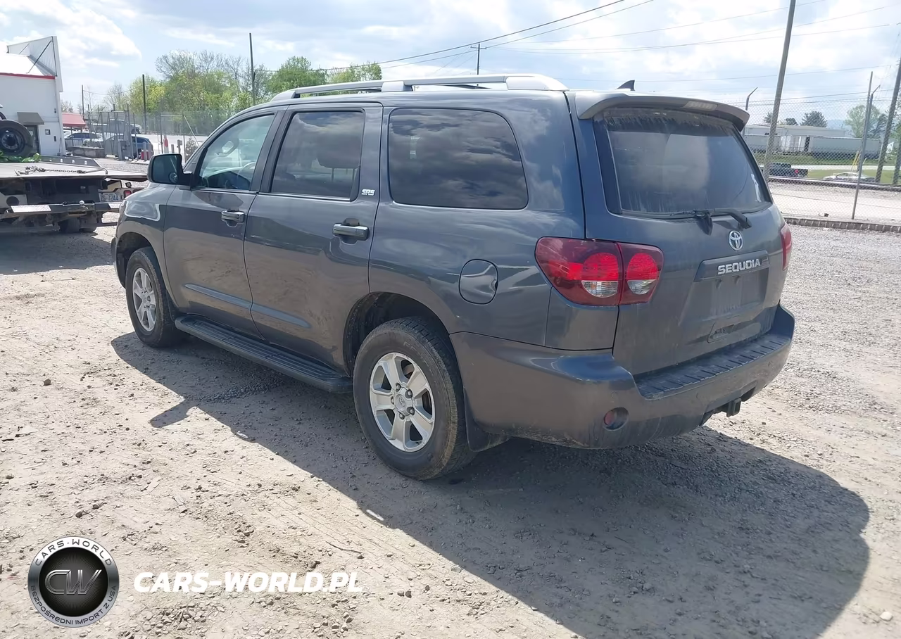 2019 Toyota Sequoia Sr5 VIN:5TDBY5G18KS169079 - 3