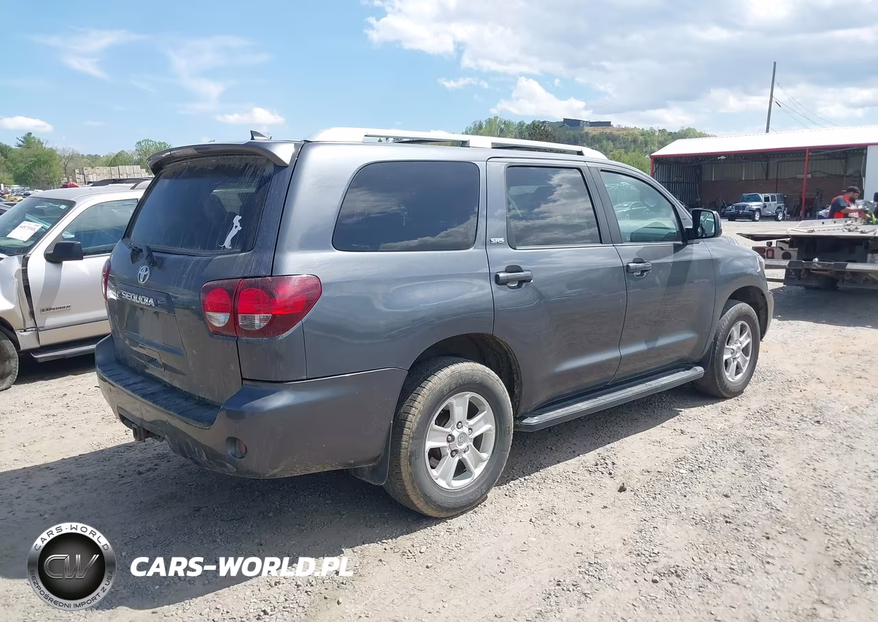 2019 Toyota Sequoia Sr5 VIN:5TDBY5G18KS169079 - 4