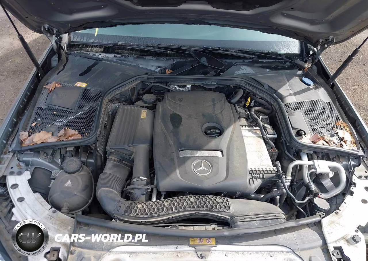 2016 Mercedes-Benz C 300 4Matic VIN:55SWF4KB7GU136988 - 10