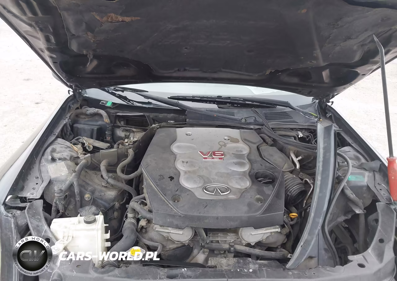2004 Infiniti G35 VIN:JNKCV54E94M305494 - 10