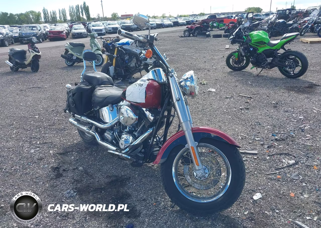 2006 Harley-Davidson Flstf