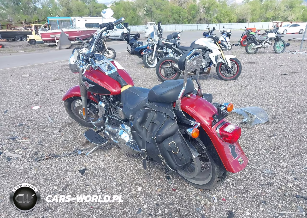 2006 Harley-Davidson Flstf VIN:1HD1BMY116Y063460 - 3