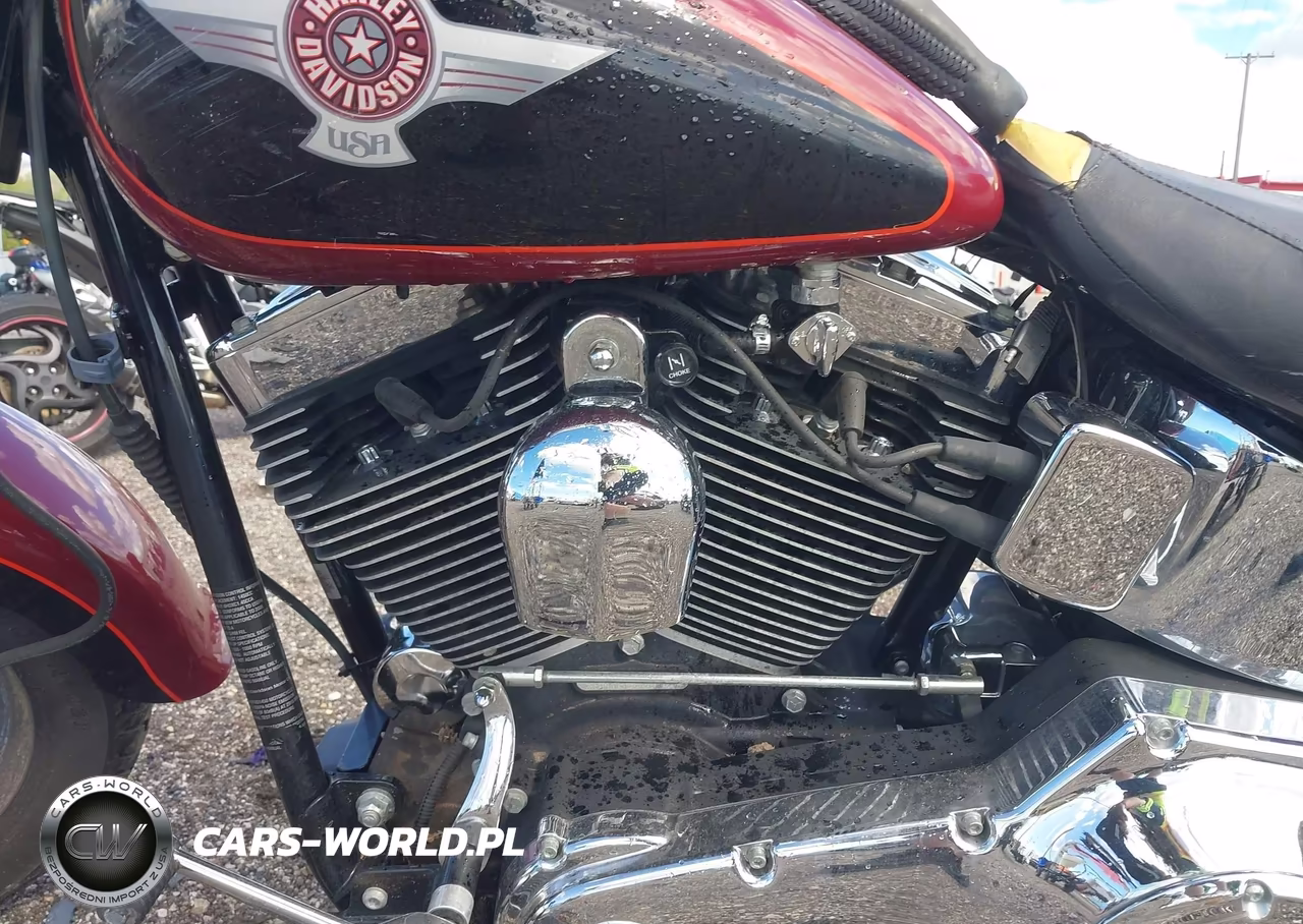 2006 Harley-Davidson Flstf VIN:1HD1BMY116Y063460 - 9