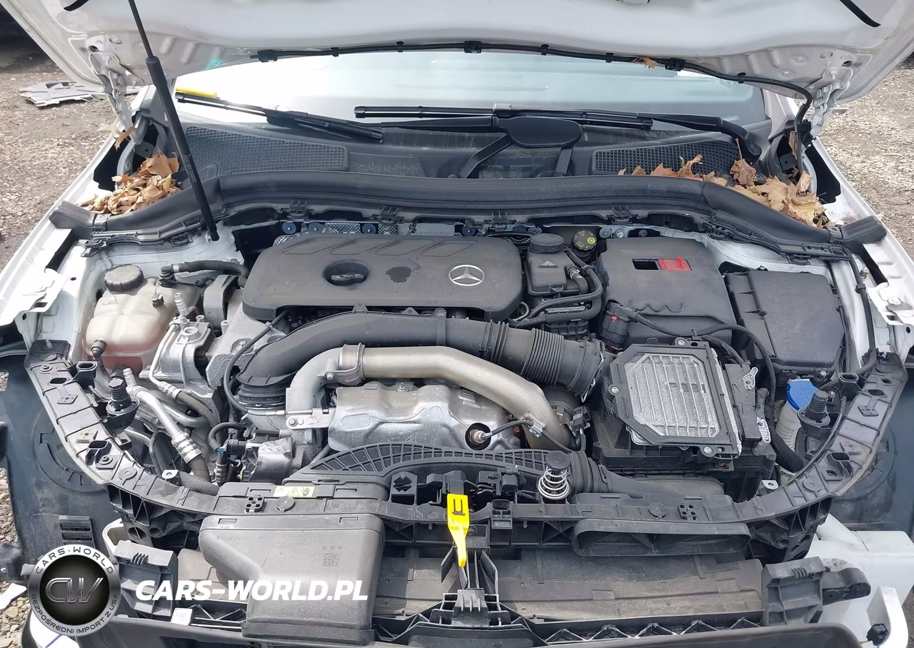 2024 Mercedes-Benz Gla 250 4Matic VIN:W1N4N4HB4RJ576352 - 10
