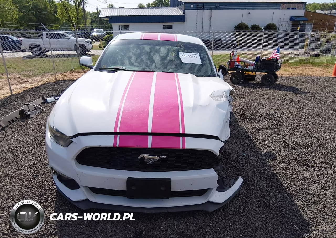 2016 Ford Mustang Ecoboost VIN:1FA6P8TH3G5235663 - 13