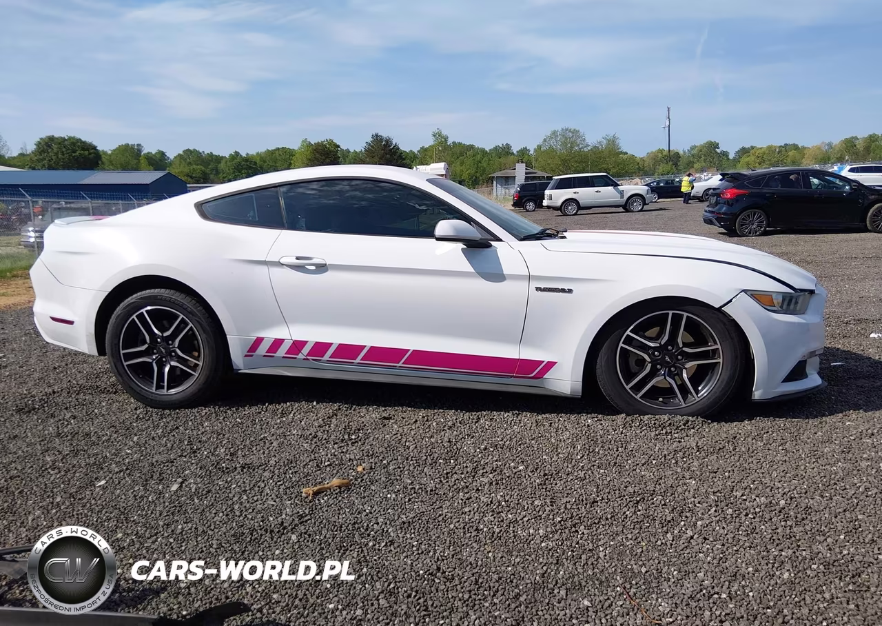 2016 Ford Mustang Ecoboost VIN:1FA6P8TH3G5235663 - 14