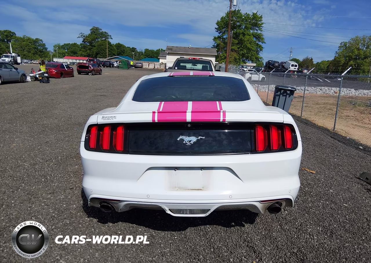 2016 Ford Mustang Ecoboost VIN:1FA6P8TH3G5235663 - 17
