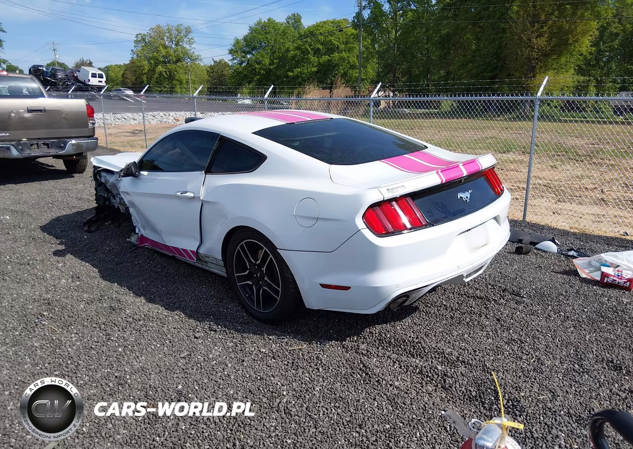 2016 Ford Mustang Ecoboost VIN:1FA6P8TH3G5235663 - 3