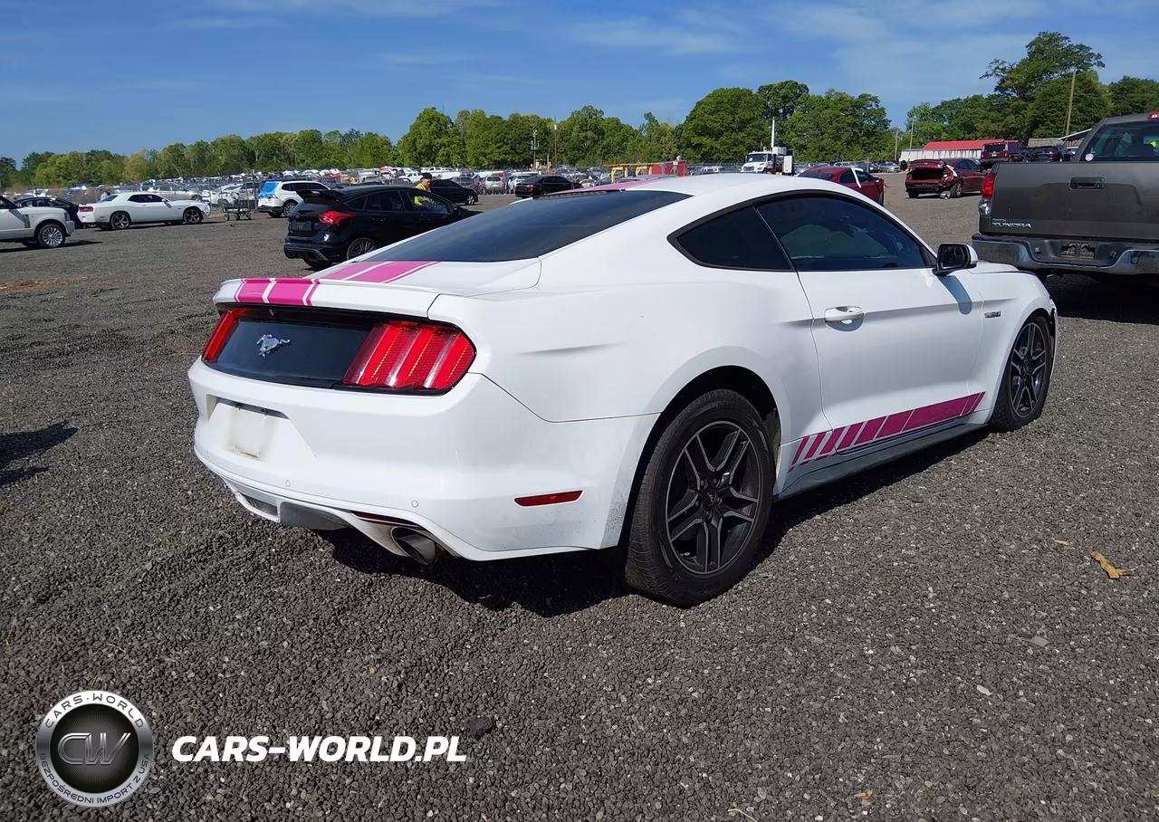 2016 Ford Mustang Ecoboost VIN:1FA6P8TH3G5235663 - 4