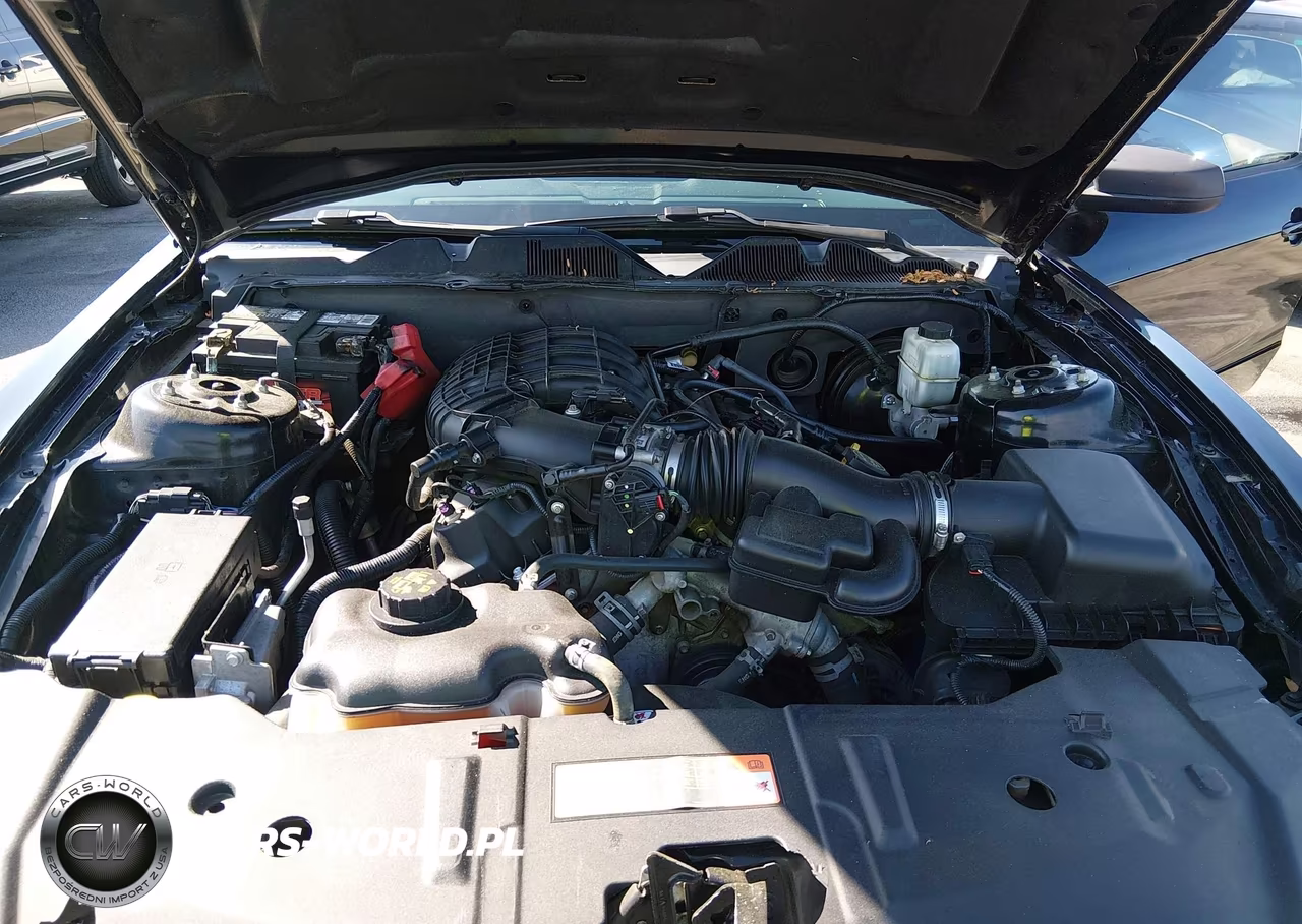 2014 Ford Mustang V6 VIN:1ZVBP8AM8E5283436 - 10